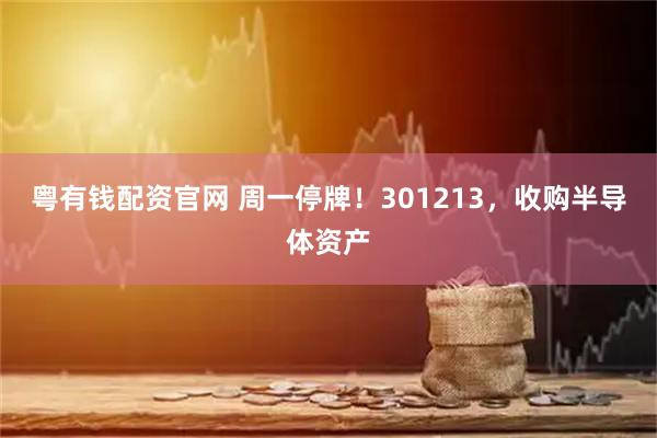 粤有钱配资官网 周一停牌！301213，收购半导体资产