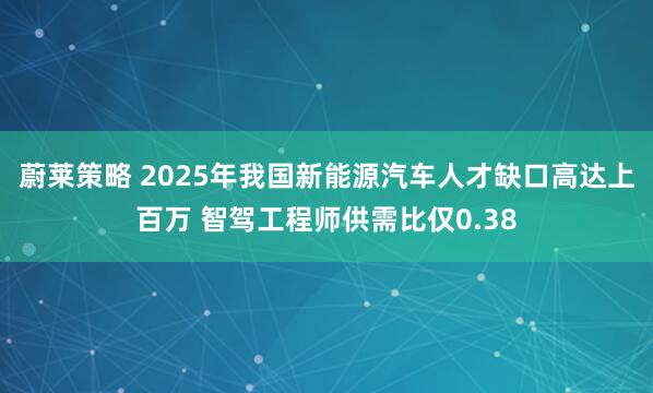 蔚莱策略 2025年我国新能源汽车人才缺口高达上百万 智驾工程师供需比仅0.38